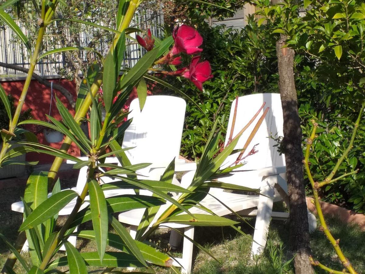 Bed&Breakfast La Rosa Rossa Cagli Exterior foto