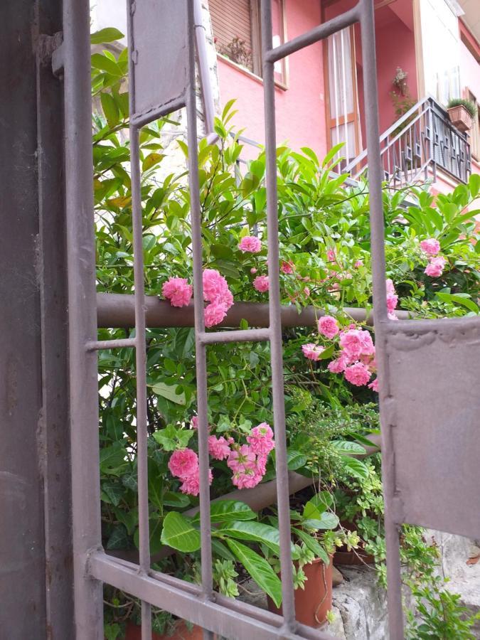 Bed&Breakfast La Rosa Rossa Cagli Exterior foto